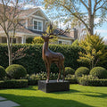 PREMIER Lifelike Bronze Deer Statue for Garden Border, Front Yard, Green Space or Estate Lawn PSB-208